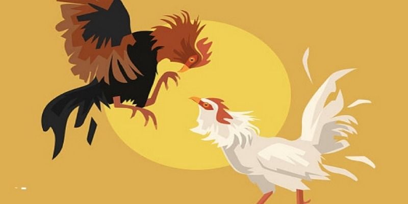 Kinh Nghiệm Cá Cược Đá Gà Bất Bại Từ Cao Thủ 4 kinh-nghiem-ca-cuoc-da-ga