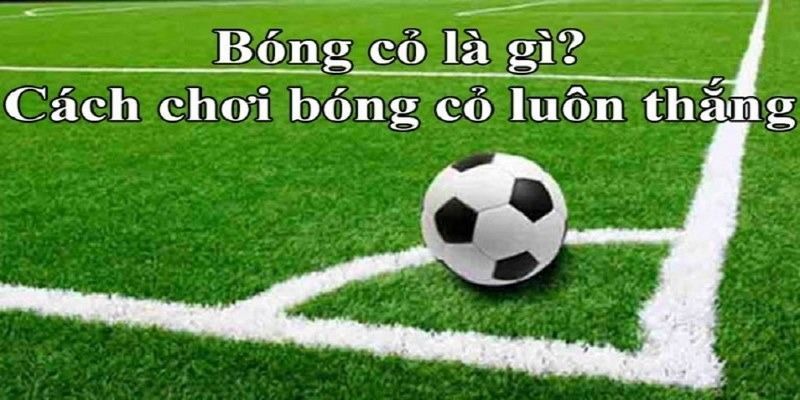 Bóng cỏ là gì? Kinh nghiệm chơi kèo bóng cỏ hiệu quả 6 tim-hieu-ky-cac-keo-cuoc-bong-co