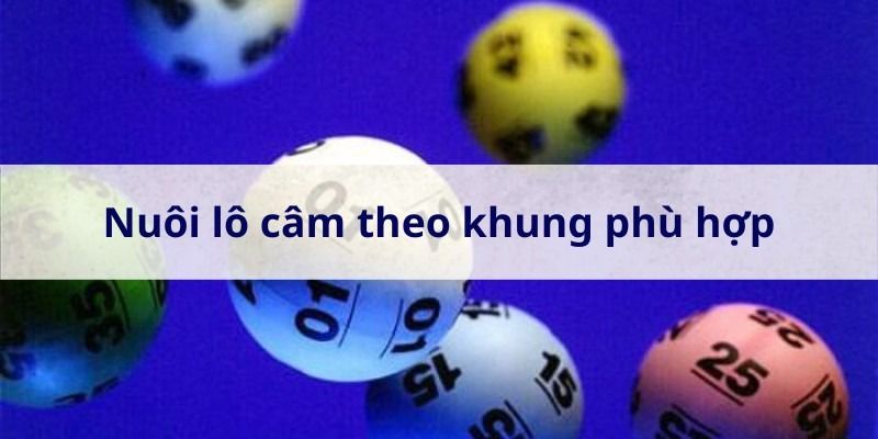 Đầu 0 câm đánh gì? Nên đánh số gì hôm sau khi gặp đầu 0 câm 6 Nuoi-lo-theo-khung-trong-dau-0-cam-danh-gi (1)