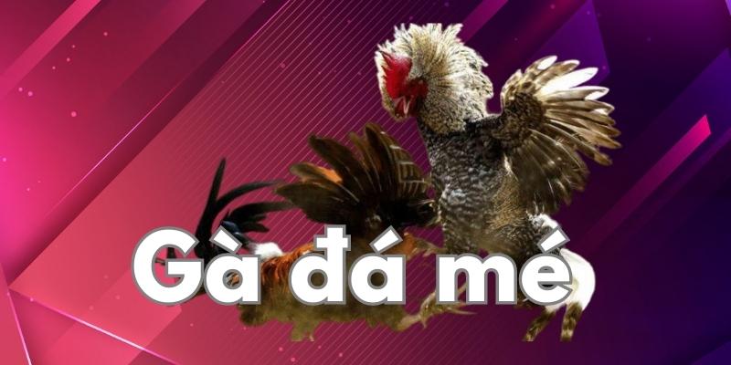 12 thế gà đá đòn độc, hiểm kết liễu đối thủ 6 Gà đá mé tấn công vào các vùng mặt, tai, mắt,... để kết liễu đối phương